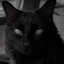 عکس کاربر - black cat