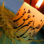 عکس کاربر - fereshte