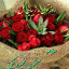 عکس کاربر - روشن ازادی