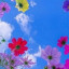 عکس کاربر - ایران ع ۱۰ بش