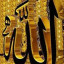عکس کاربر - ایلیا