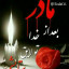 عکس کاربر - علی محمدی