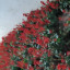 عکس کاربر - فاطمه