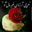 عکس کاربر - فرزانه