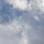 عکس کاربر - ارمین باشی