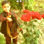 عکس کاربر - Abdorahman Rahmani