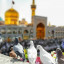 عکس کاربر - AAL