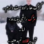 عکس کاربر - سبحان