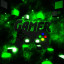 عکس کاربر - green game 