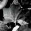 عکس کاربر - T 🖤