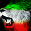 عکس کاربر - omed nazare
