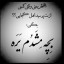 عکس کاربر - پرسپولیس