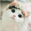 عکس کاربر - 🎀 Liana cute 🎀