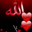 عکس کاربر - امیر شکوهی