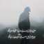 عکس کاربر - off