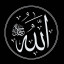 عکس کاربر - حمیدرضا