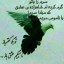 عکس کاربر - ۷۱۳۲۲۷