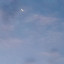عکس کاربر - ستاره