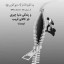 عکس کاربر - زکریا