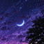 عکس کاربر - _chica_