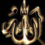 عکس کاربر - m.sadegh.altafi