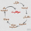 عکس کاربر - امیر