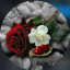 عکس کاربر - Moein