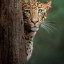 عکس کاربر - ام . ای. ام