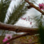 عکس کاربر - hadavand khani