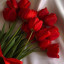 عکس کاربر - Narges hanzali