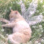 عکس کاربر - ‎sahsa