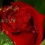 عکس کاربر - نازنین ملکی 💝