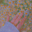 عکس کاربر - serna asgari