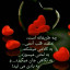 عکس کاربر - mohammad