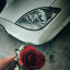 عکس کاربر - Nezam.addin.baghri