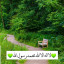 عکس کاربر - رزاق مختارنژاد 