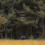 عکس کاربر - نیکی