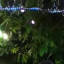 عکس کاربر - پریسا