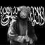 عکس کاربر - kurdmhr
