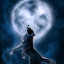 عکس کاربر - HOSSEIN WOLF