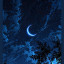 عکس کاربر - مبارکه