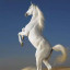 عکس کاربر - اسب