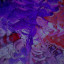 عکس کاربر - 🎶Shora_666🎧
