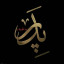 عکس کاربر - هاله 