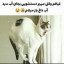 عکس کاربر - علی کامیکس