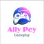 عکس کاربر - Ally Pay