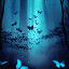 عکس کاربر - 💙🩵crow🩵💙