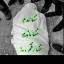 عکس کاربر - مهرداد 