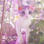 عکس کاربر - ᵐᶦᵗˢᵒʳᶦᵉ ✦🧚‍♀️