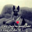 عکس کاربر - ابوطالب‌بیات